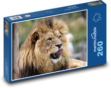 Afrykański lew na wolności Puzzle 260 elementów - 41x28,7 cm