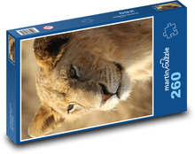 Lionesses in the savannah Puzzle 260 pieces - 41 x 28.7 cm
