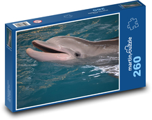Usmievavý delfín v bazéne Puzzle 260 dielikov - 41 x 28,7 cm 