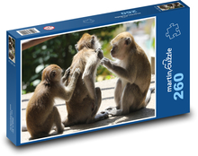 Tlupa opic pečující o srst Puzzle 260 dílků - 41 x 28,7 cm
