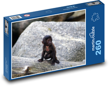 Ciekawska małpka Puzzle 260 elementów - 41x28,7 cm