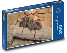 Rodina Surikatovcov Puzzle 260 dielikov - 41 x 28,7 cm