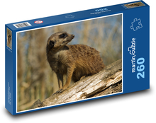 Meerkats sitting on a log Puzzle 260 pieces - 41 x 28.7 cm