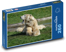 Zívajúci polárny medveď pri rieke Puzzle 260 dielikov - 41 x 28,7 cm 