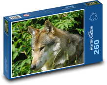 Vlk Puzzle 260 dielikov - 41 x 28,7 cm 