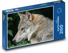 Szary wilk w lesie Puzzle 260 elementów - 41x28,7 cm