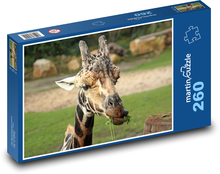 Giraffe Puzzle 260 pieces - 41 x 28.7 cm 