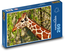 Žirafa dlhokrká Puzzle 260 dielikov - 41 x 28,7 cm 