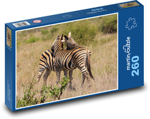 Zebry objali savanu Puzzle 260 dielikov - 41 x 28,7 cm 