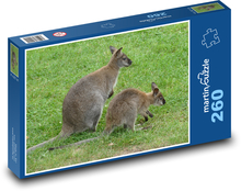Kangur z dzieckiem Puzzle 260 elementów - 41x28,7 cm