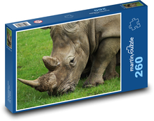 Nosorožec při pastvě Puzzle 260 dílků - 41 x 28,7 cm