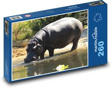 Hippo Puzzle 260 pieces - 41 x 28.7 cm 