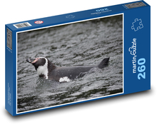 Tučňák v moři Puzzle 260 dílků - 41 x 28,7 cm