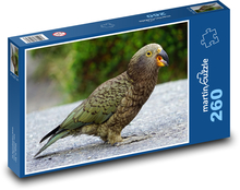 Kea, horský papoušek Puzzle 260 dílků - 41 x 28,7 cm