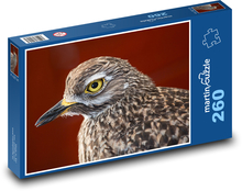 Vták Puzzle 260 dielikov - 41 x 28,7 cm