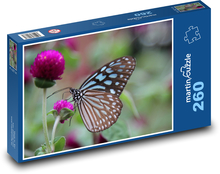 Schmetterling sitzt auf einer rosa Blume Puzzle 260 Teile - 41 x28,7 cm