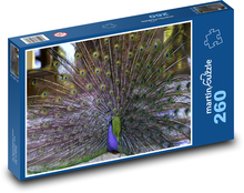 Peacock Puzzle 260 pieces - 41 x 28.7 cm 
