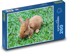Malý králíček v trávě Puzzle 260 dílků - 41 x 28,7 cm