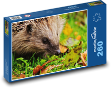 Ježko na jesennom lístí Puzzle 260 dielikov - 41 x 28,7 cm 