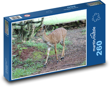 Hirsch, Hirsch mit weißen Streifen Puzzle 260 Teile - 41 x28,7 cm