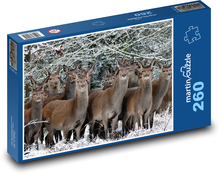 Jeleń w zaśnieżonym krajobrazie Puzzle 260 elementów - 41x28,7 cm
