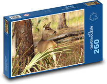 Rotwild - Damhirschkuh Puzzle 260 Teile - 41 x28,7 cm