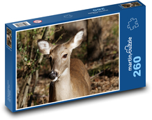 Der stumme Blick eines Waldhirsches Puzzle 260 Teile - 41 x28,7 cm