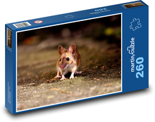 Little mouse on the road Puzzle 260 pieces - 41 x 28.7 cm 