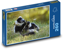 Lemur vari čierna a biela Puzzle 260 dielikov - 41 x 28,7 cm 