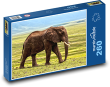 Elefant in freier Wildbahn Puzzle 260 Teile - 41 x28,7 cm