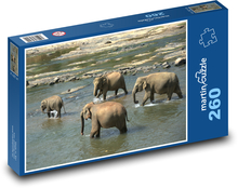 Elephant herd wading the river Puzzle 260 pieces - 41 x 28.7 cm