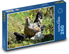 Kurčatá a malé kurčatá v tráve Puzzle 260 dielikov - 41 x 28,7 cm 
