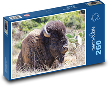 Buffalo in the wild Puzzle 260 pieces - 41 x 28.7 cm 