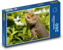 Chameleon Puzzle 260 dielikov - 41 x 28,7 cm 