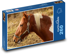 Hnědobílý kůň s postrojem Puzzle 260 dílků - 41 x 28,7 cm