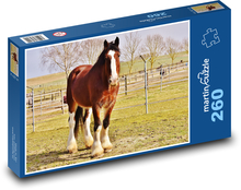 Braunpferd mit weißer Glatze Puzzle 260 Teile - 41 x28,7 cm
