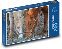 Braunes und weißes Pferd grasen auf gefrorenem Gras Puzzle 260 Teile - 41 x28,7 cm
