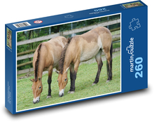 Horse Puzzle 260 pieces - 41 x 28.7 cm 