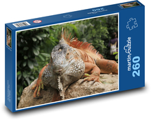 Legwan wygrzewający się na kamieniu Puzzle 260 elementów - 41x28,7 cm