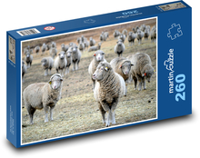 Stádo ovcí na pastvě Puzzle 260 dílků - 41 x 28,7 cm