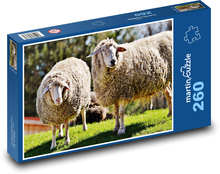 Sheep grazing on grass Puzzle 260 pieces - 41 x 28.7 cm 