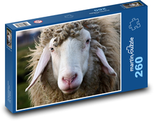 Ovce s dlouhýma ušima Puzzle 260 dílků - 41 x 28,7 cm
