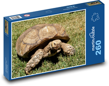 Korytnačka v pohybe Puzzle 260 dielikov - 41 x 28,7 cm 