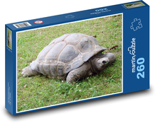 Żółw ze skorupą Puzzle 260 elementów - 41x28,7 cm