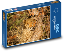 Leopard am Baum Puzzle 260 Teile - 41 x28,7 cm