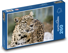 Lampart z długą brodą Puzzle 260 elementów - 41x28,7 cm