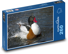 Kaczka w wodzie Puzzle 260 elementów - 41x28,7 cm