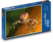 Pavouk lezoucí po dřevě Puzzle 260 dílků - 41 x 28,7 cm