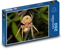 Spinne im Netz Puzzle 260 Teile - 41 x28,7 cm