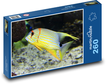 Fisch Puzzle 260 Teile - 41 x28,7 cm